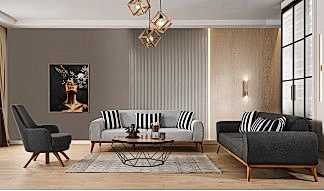 Omega Koltuk Takımı 3+3+1