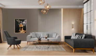 Omega Koltuk Takımı 3+3+1 